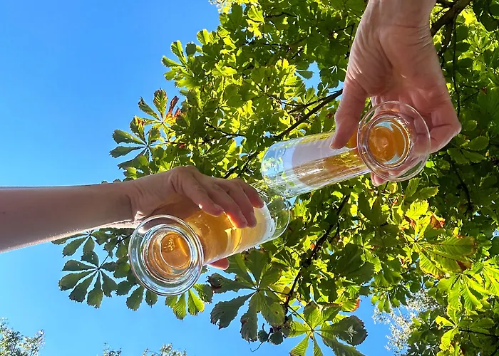波西尼亚贝斯特韦斯特酒店
